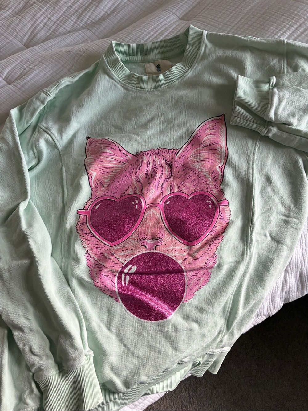 Simply Southern Mint Sweatshirt with Pink Cat Graphic